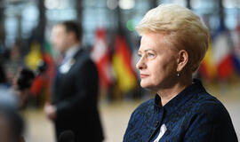 D. Grybauskaitė siūlo, kad medicininę ir socialinę pagalbą senoliams teiktų vienas asmuo