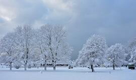 Žiema Klaipėdoje
