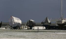 Nidiškiai išdavė jaunystės išsaugojimo paslaptį