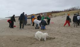 Sveikuolių maudynės