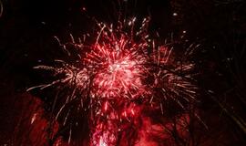 „Shodan“ karatė mokykla pagerbė geriausius 2018 m. sportininkus