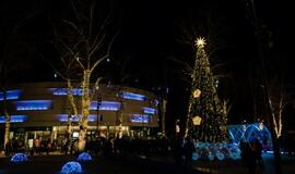 „Shodan“ karatė mokykla pagerbė geriausius 2018 m. sportininkus