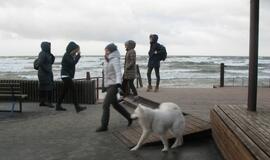 Sveikuolių maudynės