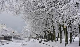 Žiema Klaipėdoje