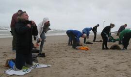 Sveikuolių maudynės