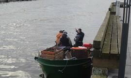 Stintų viliotinis glumina klaipėdiečius