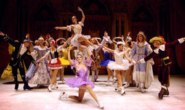 Nuostabi meilės istorja sušildys ledą ir jūsų širdis