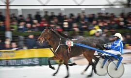 Finišavo tradicinės ristūnų žirgų lenktynės „Sartai 2019“