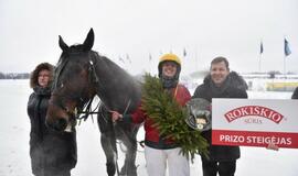 Finišavo tradicinės ristūnų žirgų lenktynės „Sartai 2019“