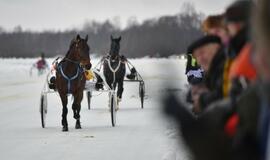 Finišavo tradicinės ristūnų žirgų lenktynės „Sartai 2019“