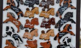 Finišavo tradicinės ristūnų žirgų lenktynės „Sartai 2019“