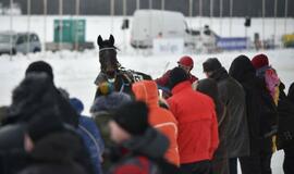 Finišavo tradicinės ristūnų žirgų lenktynės „Sartai 2019“