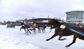 Finišavo tradicinės ristūnų žirgų lenktynės „Sartai 2019“