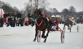 Finišavo tradicinės ristūnų žirgų lenktynės „Sartai 2019“
