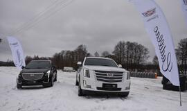 Finišavo tradicinės ristūnų žirgų lenktynės „Sartai 2019“