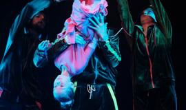 Klaipėdoje prasidėjo dinozaurų manija