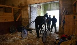 Finišavo tradicinės ristūnų žirgų lenktynės „Sartai 2019“