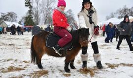 Finišavo tradicinės ristūnų žirgų lenktynės „Sartai 2019“