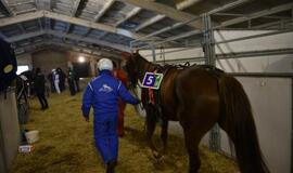 Finišavo tradicinės ristūnų žirgų lenktynės „Sartai 2019“