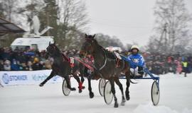 Finišavo tradicinės ristūnų žirgų lenktynės „Sartai 2019“