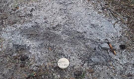 Prie Olando Kepurės rasti žmogaus pelenai