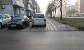 Vakarų Lietuvos automobilių statymo ypatumai
