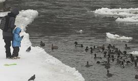 Vasario 3-ioji: vardadieniai, astrologija