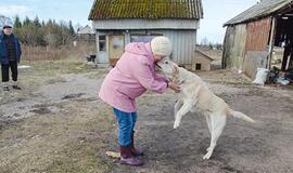 Išvažiavo gyventi į Klaipėdą, palikę šunis prie būdos