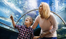 Kaip padėti vaikui saugiai tyrinėti pasaulį?