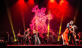 Palangos koncertų salėje - orkestras „Peterburgo virtuozai“