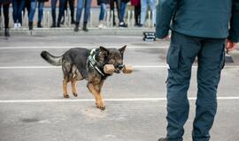 Atvirų durų diena policijoje vėl sukvietė būrius moksleivių