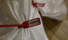 Rinkimai Klaipėdoje