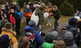 Užgavėnės Klaipėdos universitete