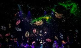 Peterburgo virtuozai