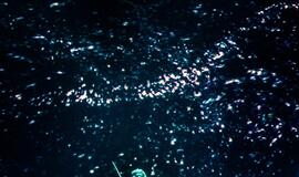 Peterburgo virtuozai