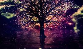 Peterburgo virtuozai