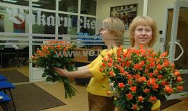 Pienė, prakalusi asfaltą arba Rašiusi širdimi