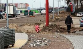 Buksuojanti gatvės rekonstrukcija