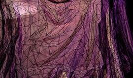 Peterburgo virtuozai