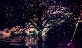 Peterburgo virtuozai