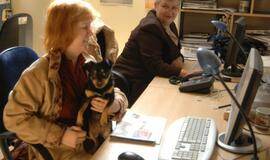 Pienė, prakalusi asfaltą arba Rašiusi širdimi