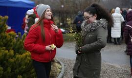 Užgavėnės Klaipėdos universitete