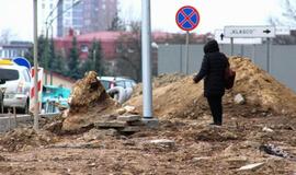 Buksuojanti gatvės rekonstrukcija