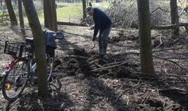 Prieš tiesiant kelią  - aistros dėl medžių