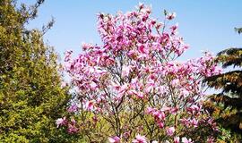 Antradienio horoskopas 12-ai Zodiako ženklų