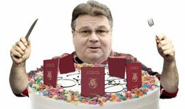 Linui Linkevičiui referendumas - kaip gimtadienis