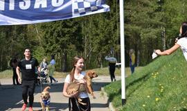 Bėgimas su šunimis