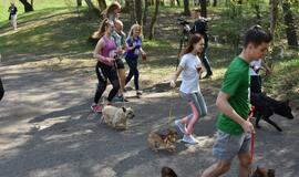 Bėgimas su šunimis