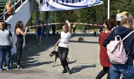 Bėgimas su šunimis