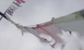 „Pasaulio šerdis“